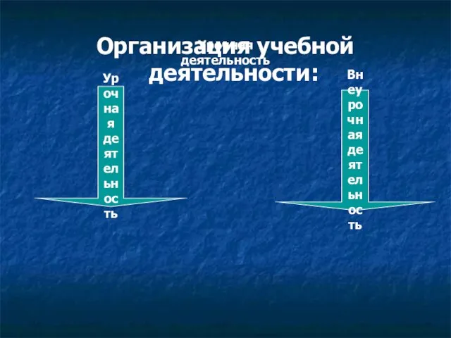 Урочная деятельность Организация учебной деятельности: Урочная деятельность Внеурочная деятельность