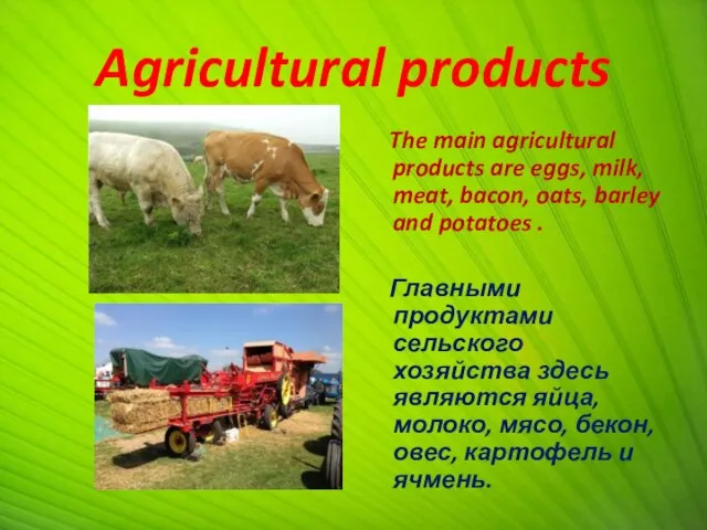 Agricultural products The main agricultural products are eggs, milk, meat, bacon, oats,