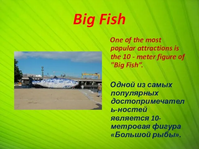 Big Fish One of the most popular attractions is the 10 -
