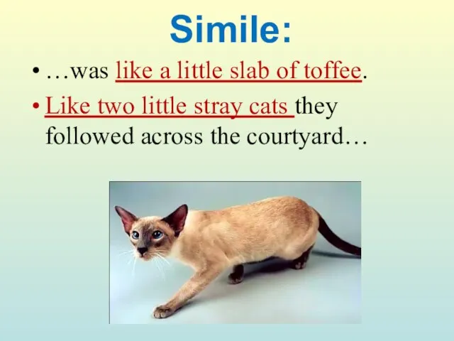 Simile: …was like a little slab of toffee. Like two little stray