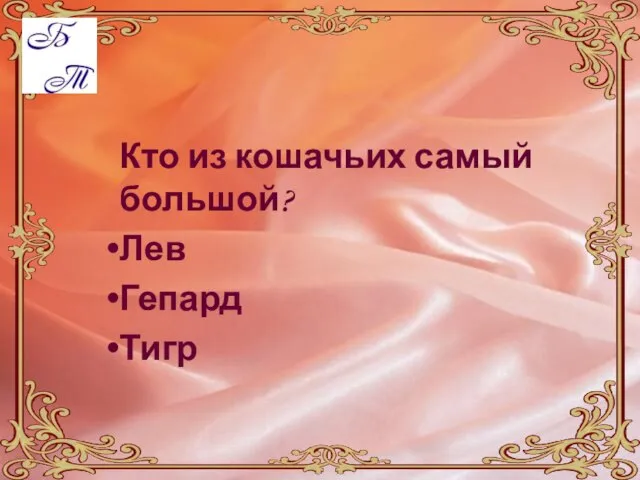 Кто из кошачьих самый большой? Лев Гепард Тигр