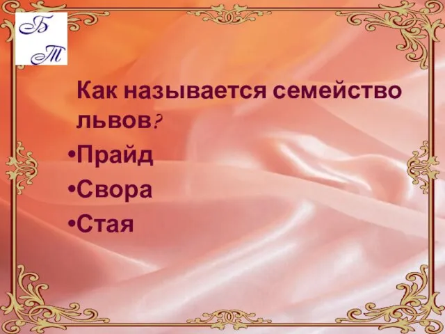 Как называется семейство львов? Прайд Свора Стая