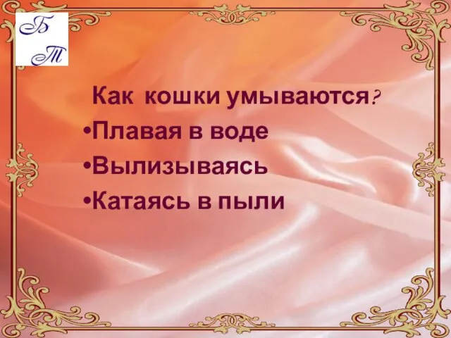 Как кошки умываются? Плавая в воде Вылизываясь Катаясь в пыли