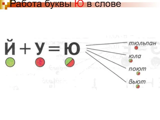 Работа буквы Ю в слове