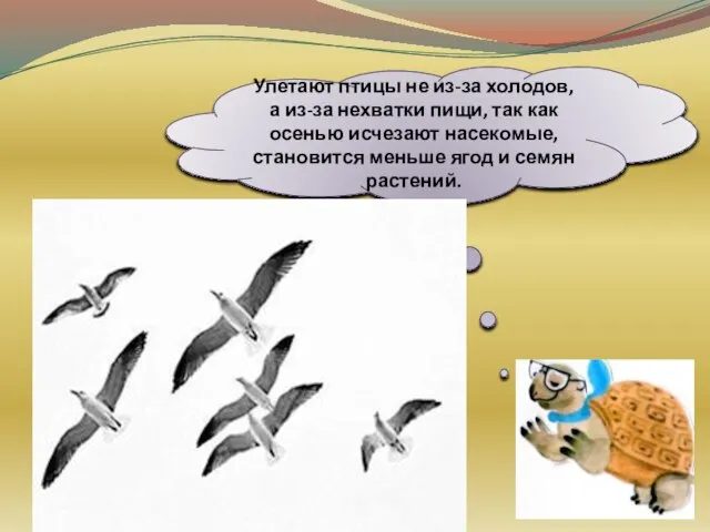 Улетают птицы не из-за холодов, а из-за нехватки пищи, так как осенью