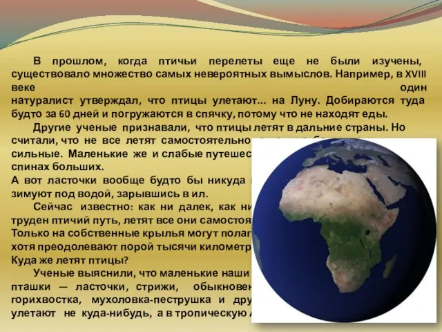 В прошлом, когда птичьи перелеты еще не были изучены, существовало множество самых