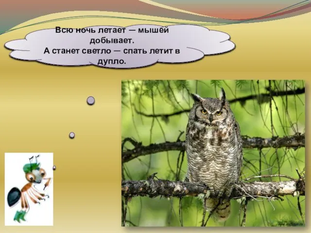 Всю ночь летает — мышей добывает. А станет светло — спать летит в дупло.