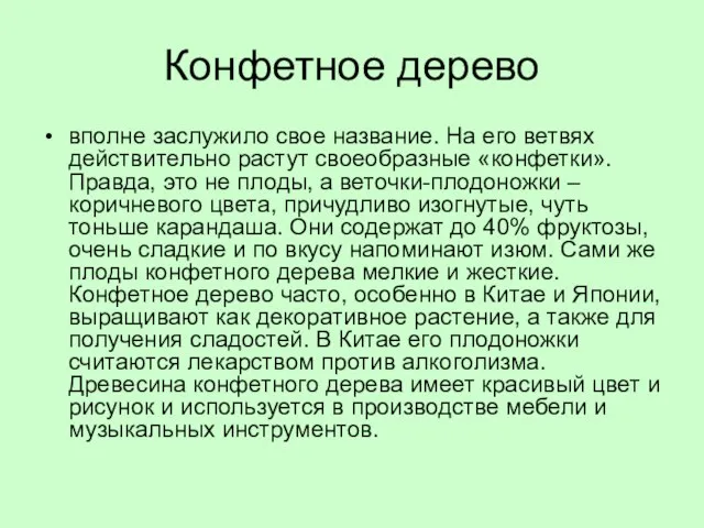 Конфетное дерево вполне заслужило свое название. На его ветвях действительно растут своеобразные