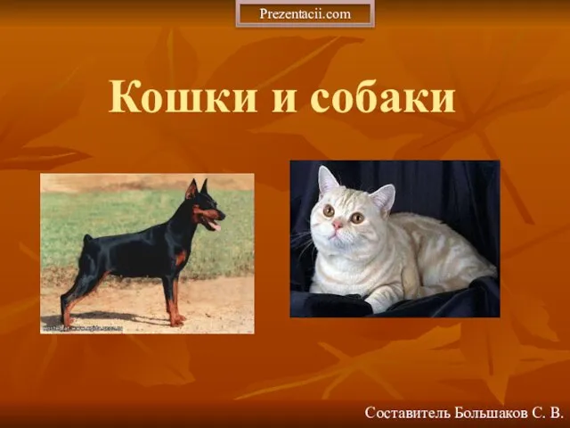 Презентация на тему Кошки и собаки