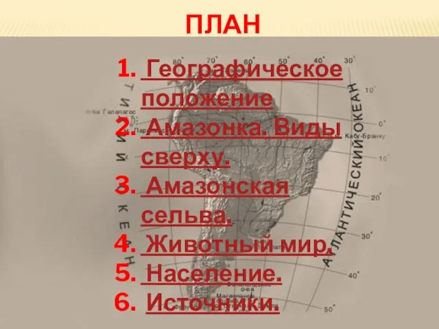 план Географическое положение Амазонка. Виды сверху. Амазонская сельва. Животный мир. Население. Источники.