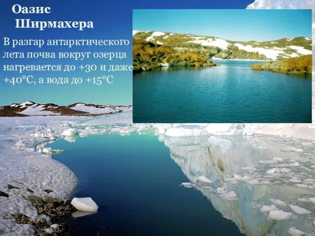 Оазис Ширмахера В разгар антарктического лета почва вокруг озерца нагревается до +30