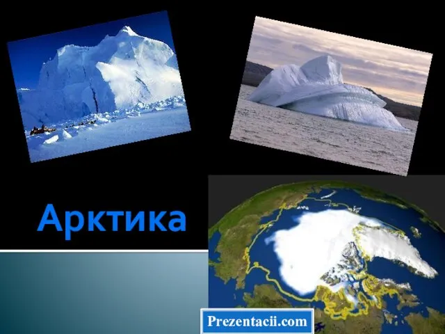 Презентация на тему Арктика