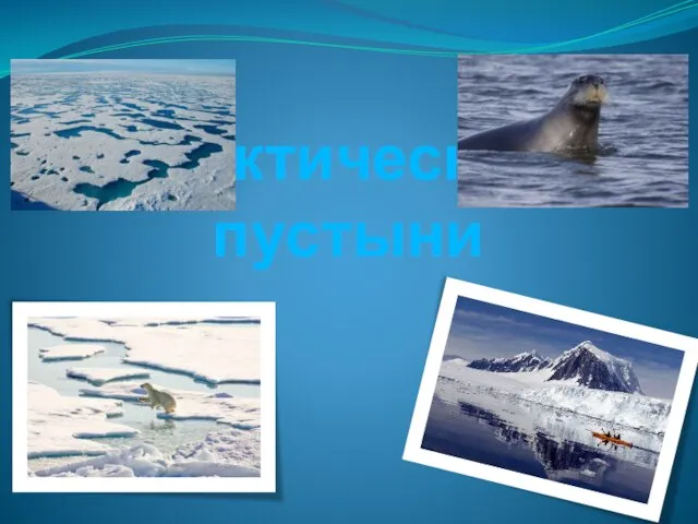 Презентация на тему Арктические пустыни