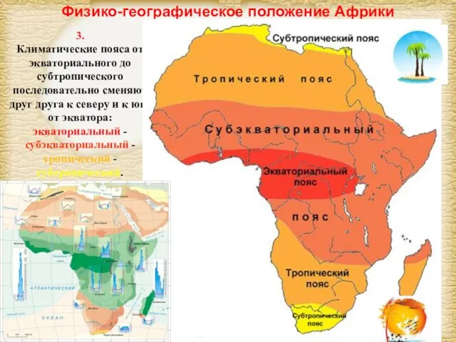 Физико-географическое положение Африки 3. Климатические пояса от экваториального до субтропического последовательно сменяют