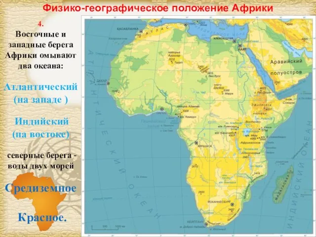 Физико-географическое положение Африки 4. Восточные и западные берега Африки омывают два океана: