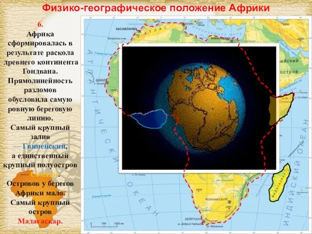 Физико-географическое положение Африки 6. Африка сформировалась в результате раскола древнего континента Гондвана.
