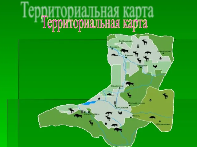 Территориальная карта