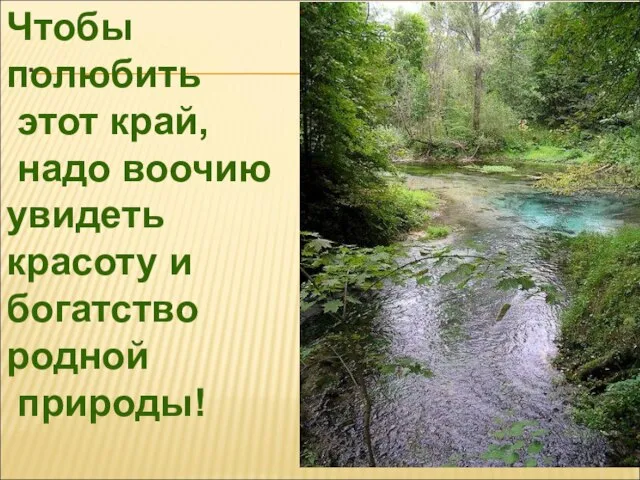 . Чтобы полюбить этот край, надо воочию увидеть красоту и богатство родной природы!