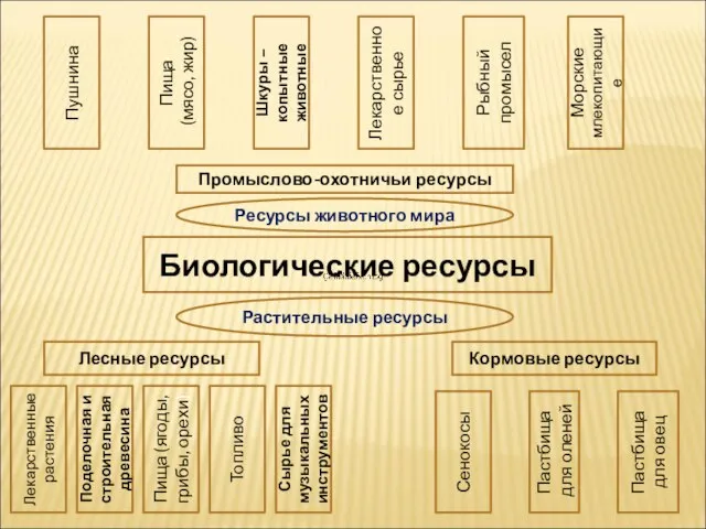 Биологические ресурсы Лесные ресурсы Кормовые ресурсы Растительные ресурсы Лекарственные растения Поделочная и