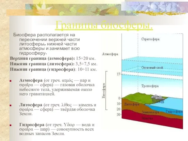 Границы биосферы. Биосфера располагается на пересечении верхней части литосферы, нижней части атмосферы