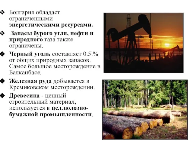 Болгария обладает ограниченными энергетическими ресурсами. Запасы бурого угля, нефти и природного газа