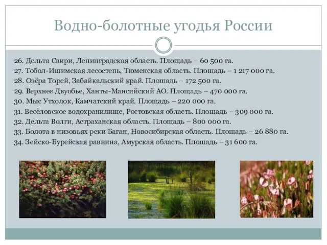 Водно-болотные угодья России 26. Дельта Свири, Ленинградская область. Площадь – 60 500