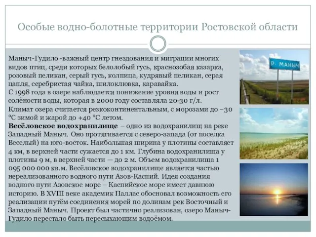Особые водно-болотные территории Ростовской области Маныч-Гудило -важный центр гнездования и миграции многих