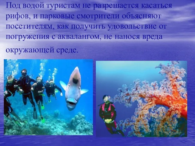 Под водой туристам не разрешается касаться рифов, и парковые смотрители объясняют посетителям,