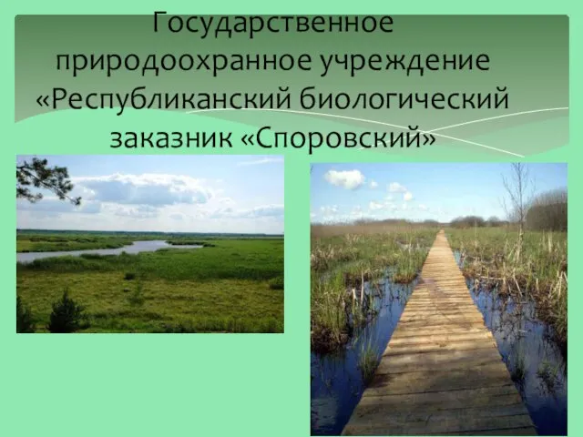 Государственное природоохранное учреждение «Республиканский биологический заказник «Споровский»