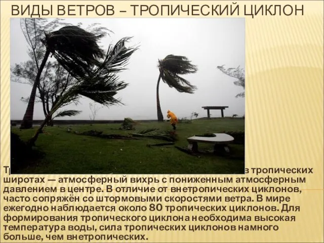 ВИДЫ ВЕТРОВ – ТРОПИЧЕСКИЙ ЦИКЛОН Тропический циклон — циклон, образовавшийся в тропических