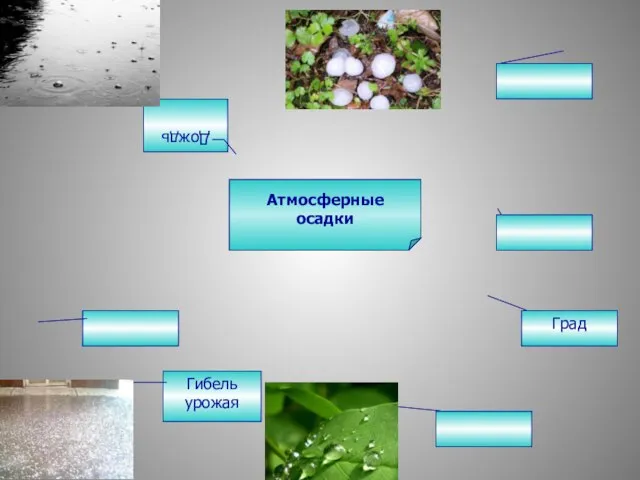 Атмосферные осадки Дождь Град Гибель урожая