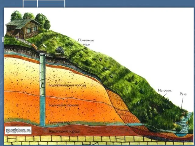 Подземные воды Подземные воды- это воды, находящиеся в земной коре.