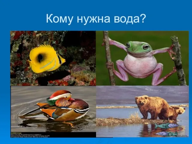 Кому нужна вода?