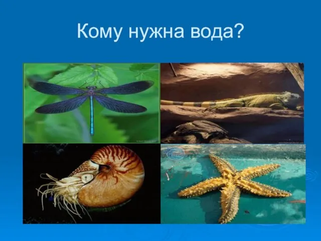 Кому нужна вода?