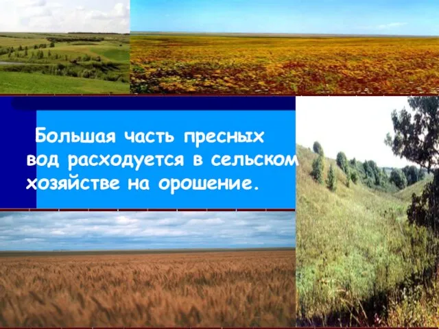 Большая часть пресных вод расходуется в сельском хозяйстве на орошение.