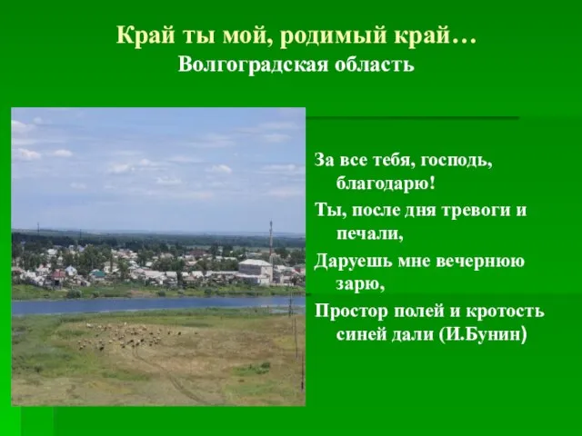 Презентация на тему Волгоградская область
