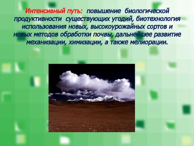 Интенсивный путь: повышение биологической продуктивности существующих угодий, биотехнология использования новых, высокоурожайных сортов