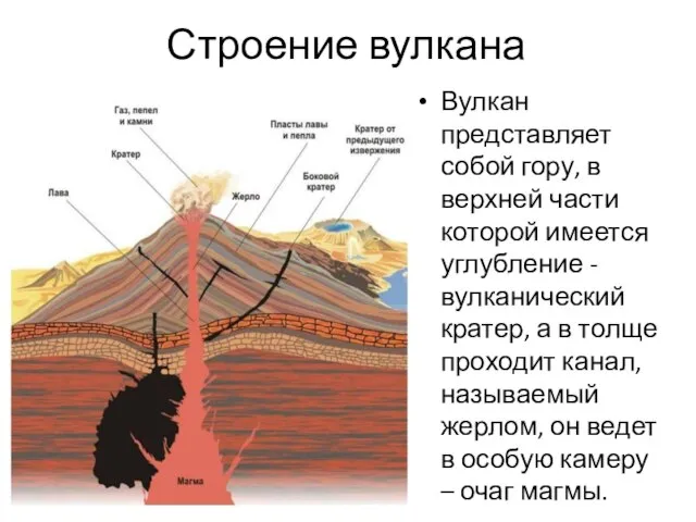 Строение вулкана Вулкан представляет собой гору, в верхней части которой имеется углубление