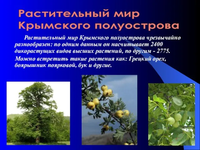 Растительный мир Крымского полуострова чрезвычайно разнообразен: по одним данным он насчитывает 2400