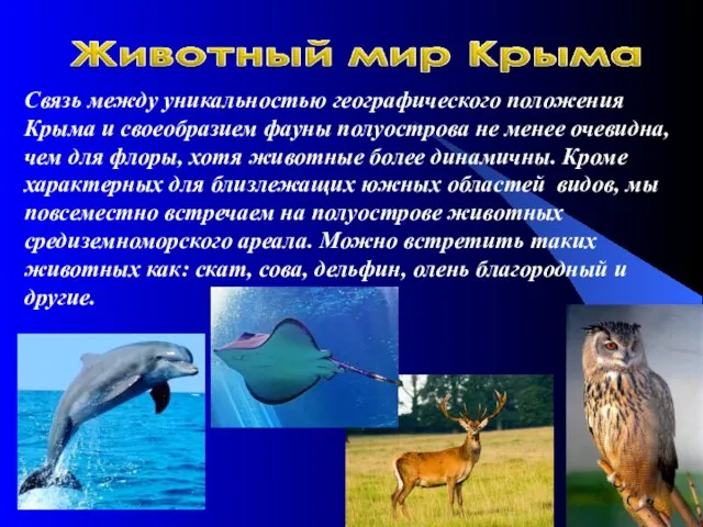 Связь между уникальностью географического положения Крыма и своеобразием фауны полуострова не менее