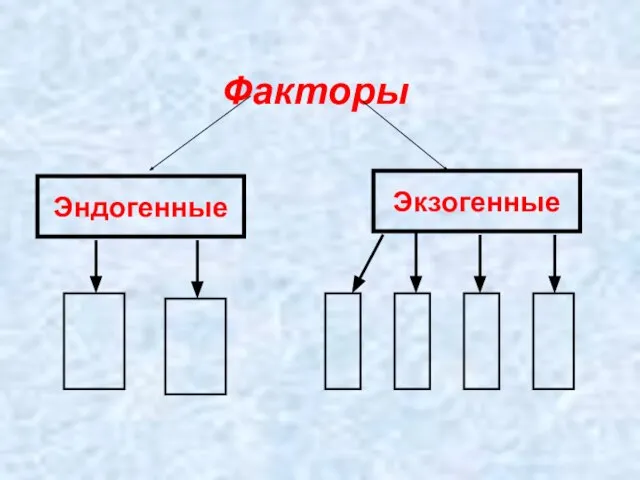 Факторы Эндогенные Экзогенные