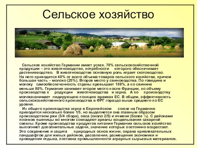 Сельское хозяйство Сельское хозяйство Германии имеет успех. 70% сельскохозяйственной продукции – это