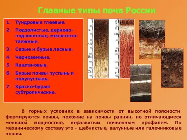 Главные типы почв России Тундровые глеевые. Подзолистые, дерново-подзолистые, мерзлотно-таежные. Серые и бурые