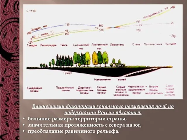 Важнейшими факторами зонального размещения почв по поверхности России являются: большие размеры территории
