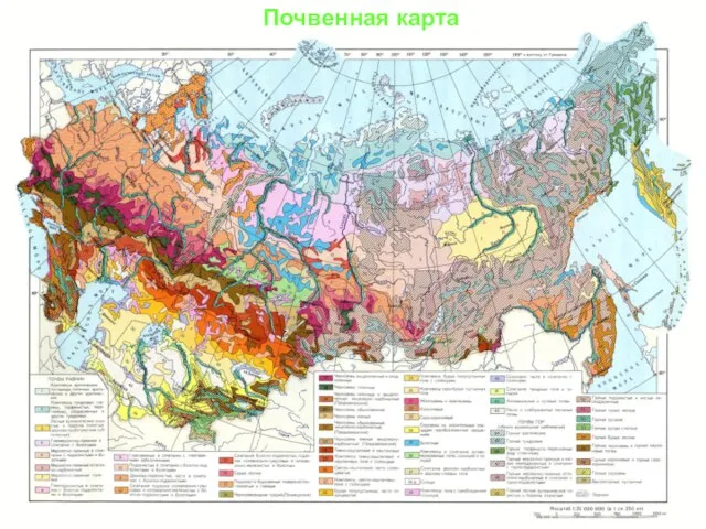 Почвенная карта Почвенная карта