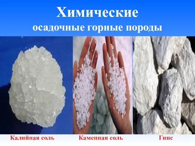 Химические осадочные горные породы Калийная соль Каменная соль Гипс