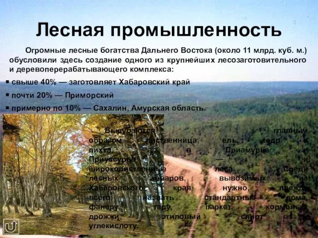 Лесная промышленность Огромные лесные богатства Дальнего Востока (около 11 млрд. куб. м.)