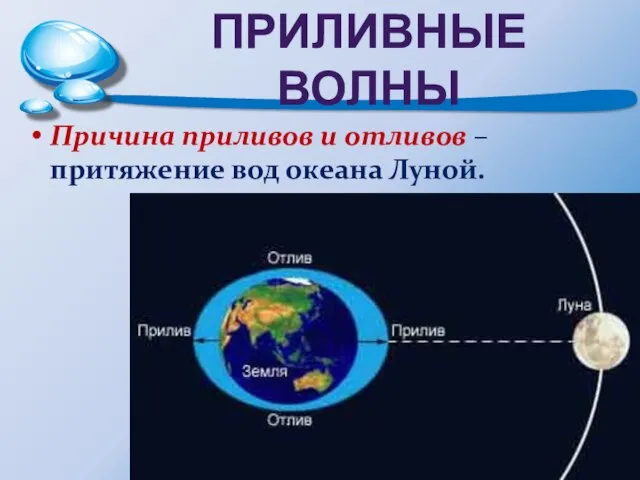 ПРИЛИВНЫЕ ВОЛНЫ Причина приливов и отливов – притяжение вод океана Луной.