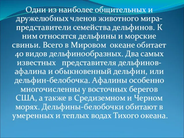 Одни из наиболее общительных и дружелюбных членов животного мира- представители семейства дельфинов.