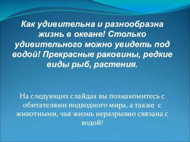 Как удивительна и разнообразна жизнь в океане! Столько удивительного можно увидеть под